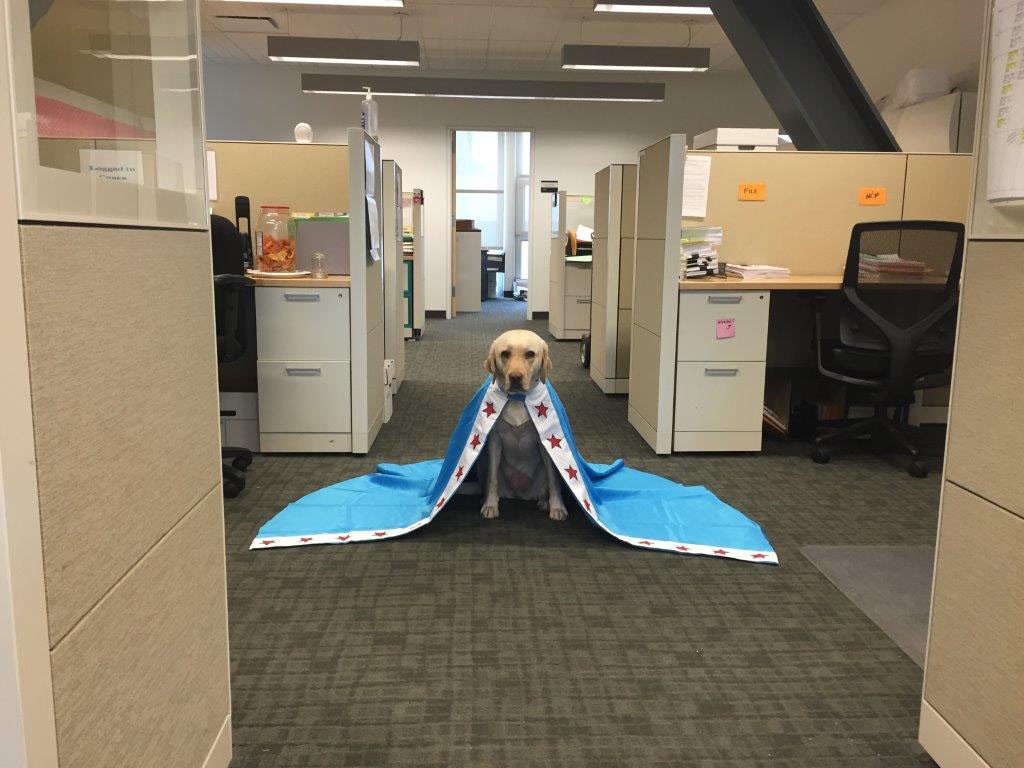 JoJo The Princess-rgb