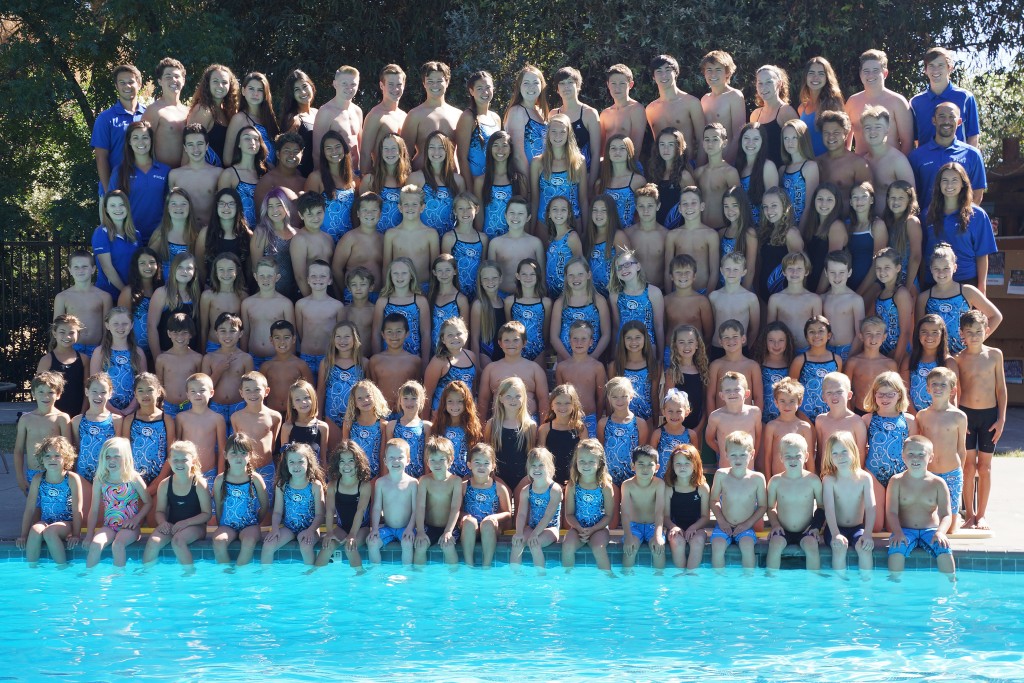 forest-hills-swim-rgb